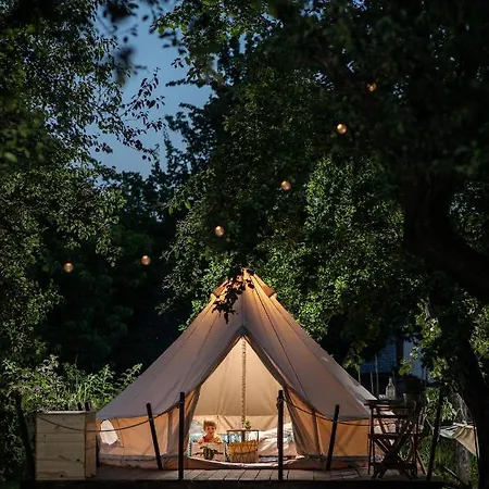 Dragonfly Gardens Urban Glamping Brasov Hotel Exterior photo