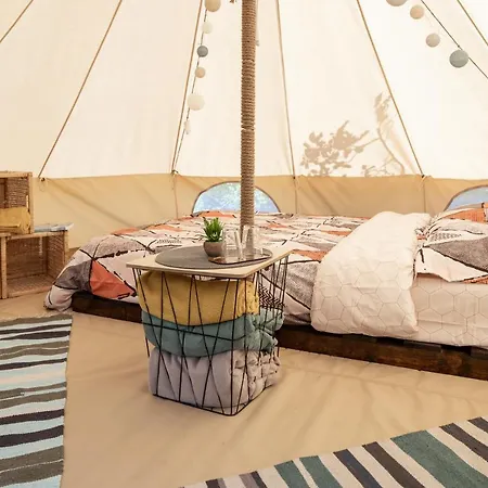 Dragonfly Gardens Urban Glamping Brasov Hotel Exterior photo