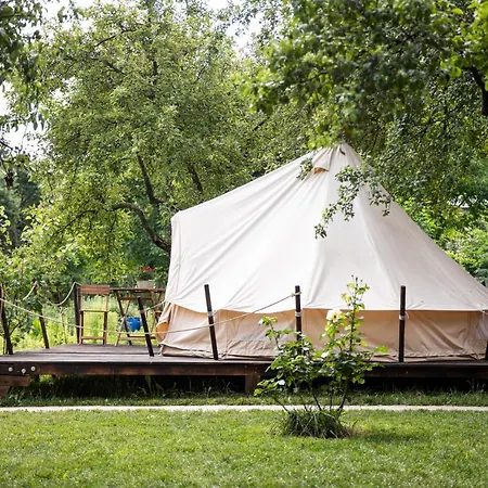 Dragonfly Gardens Urban Glamping Brasov Hotel Exterior photo