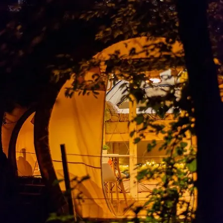 Dragonfly Gardens Urban Glamping Brasov Hotel Exterior photo