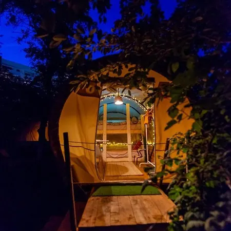 Dragonfly Gardens Urban Glamping Brasov Hotel Exterior photo