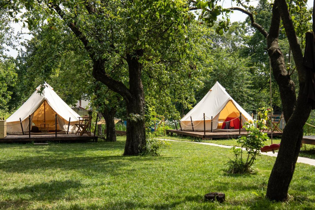 豪華帳篷 Dragonfly Gardens Urban Glamping Braşov