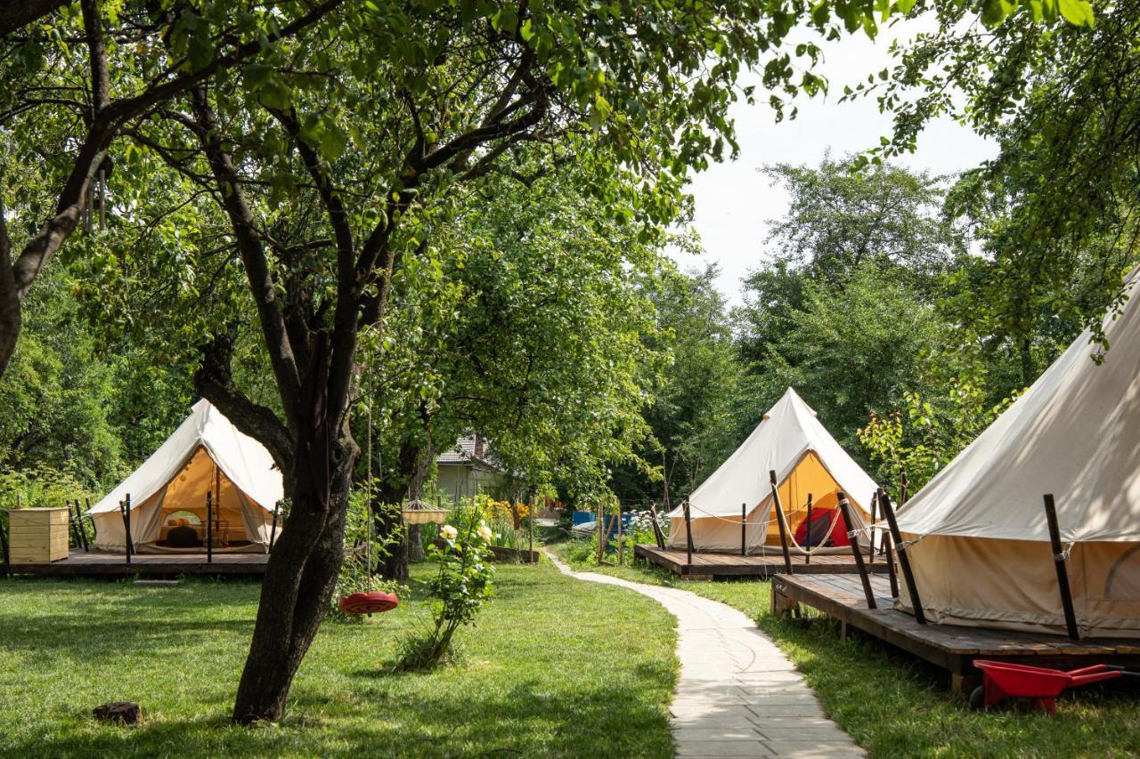 Dragonfly Gardens Urban Glamping Luxury tent *