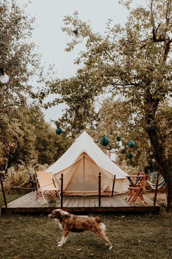 Dragonfly Gardens Urban Glamping Brasov