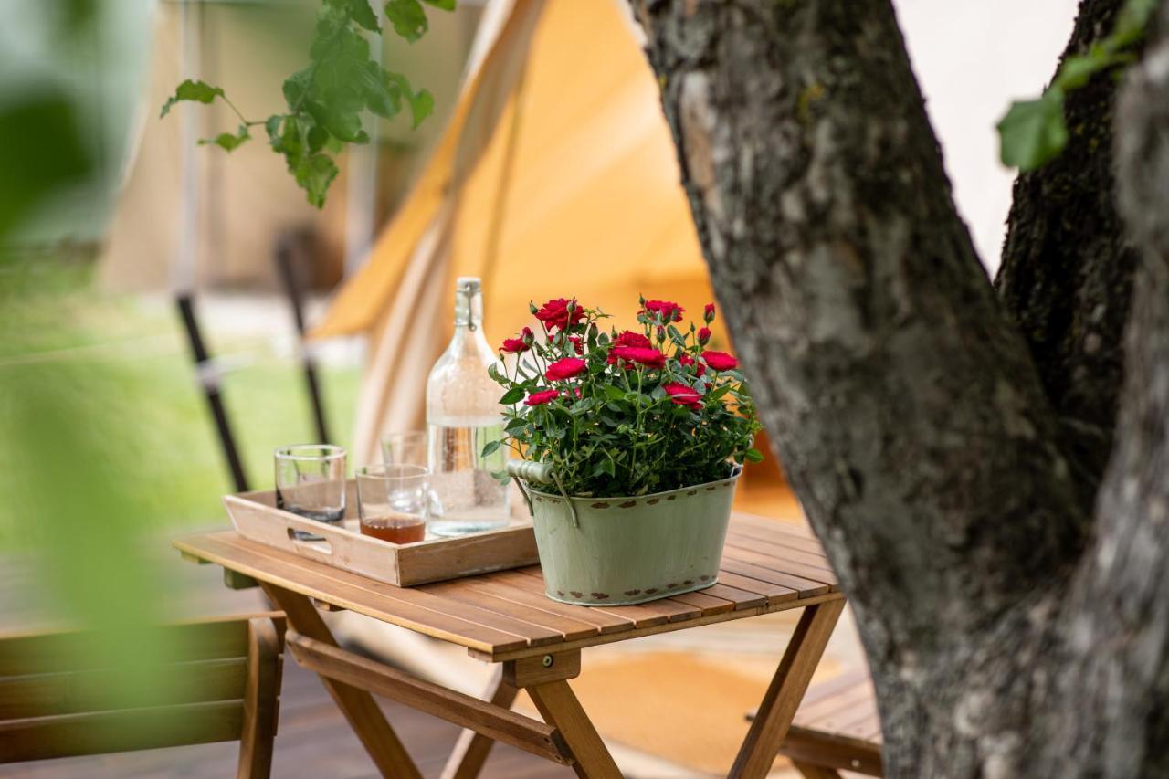 Dragonfly Gardens Urban Glamping Braşov