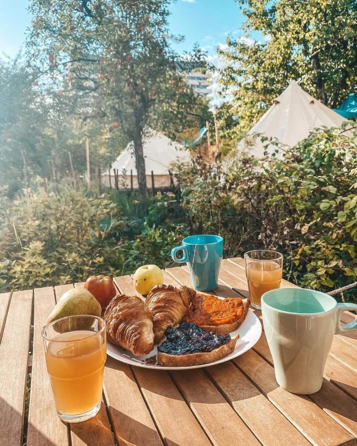 Dragonfly Gardens Urban Glamping Brasov