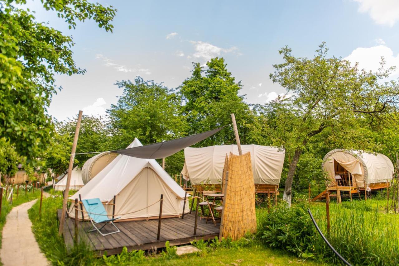 Luxury tent Dragonfly Gardens Urban Glamping Brasov