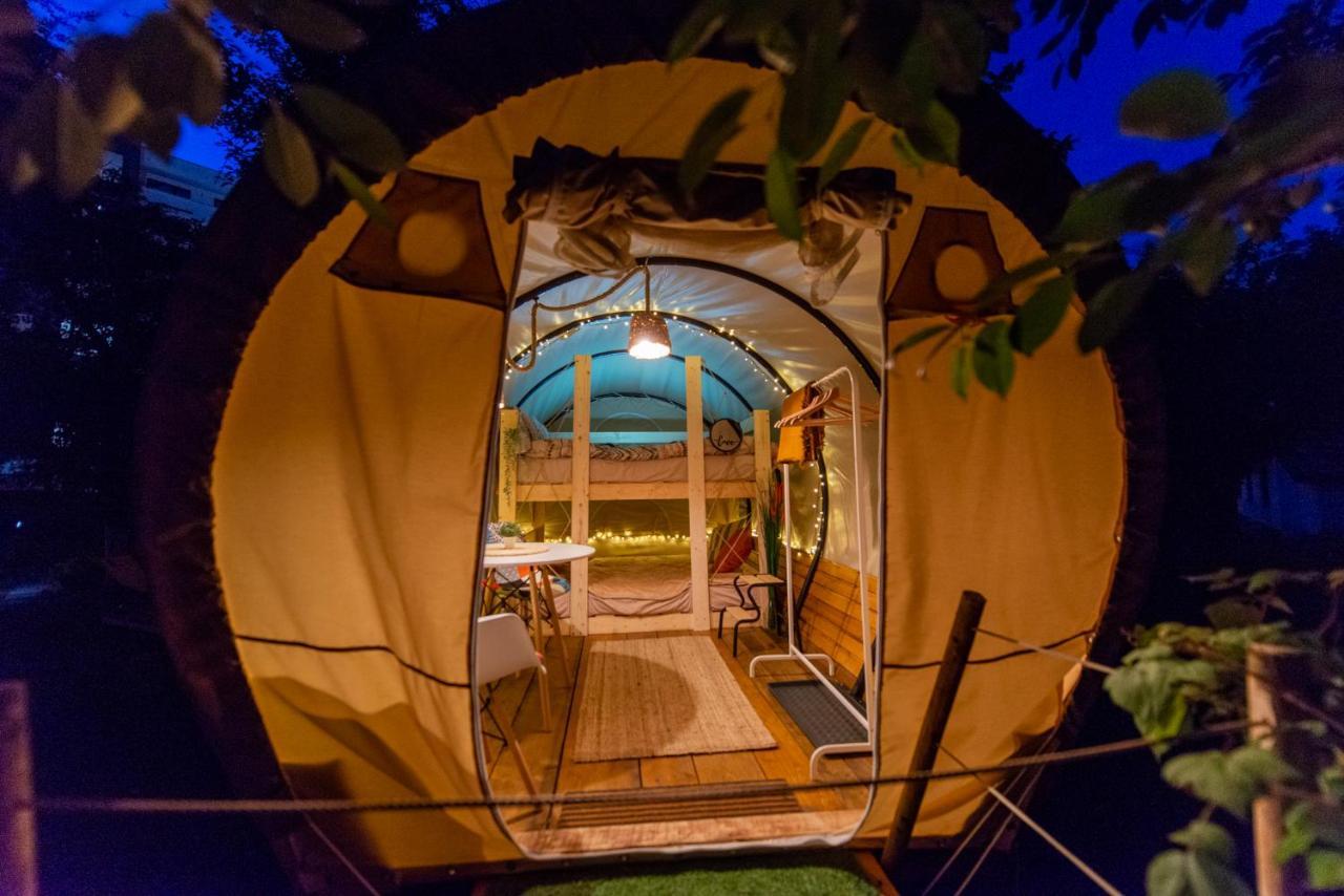 Dragonfly Gardens Urban Glamping Luxury tent