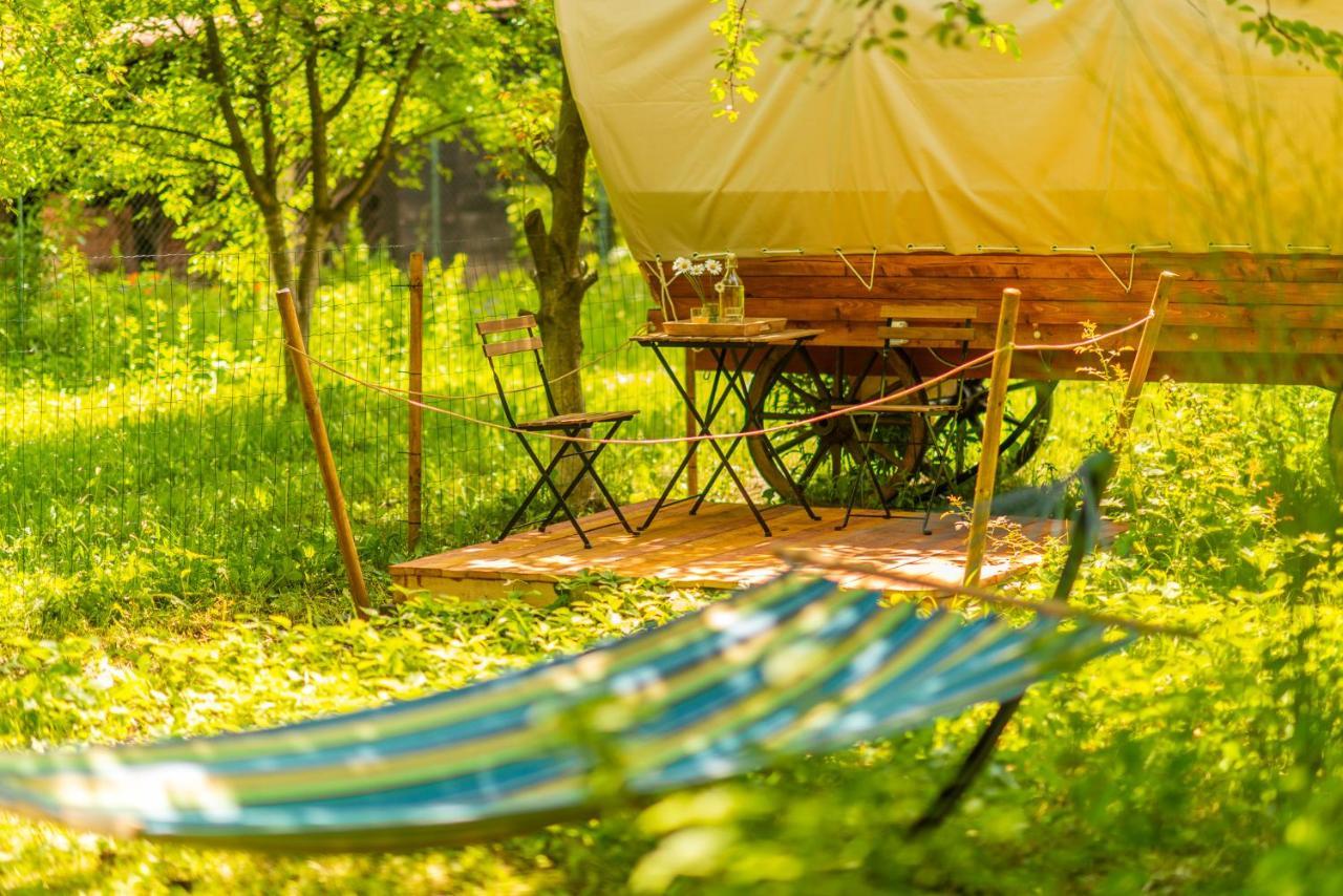 Dragonfly Gardens Urban Glamping Luxury tent