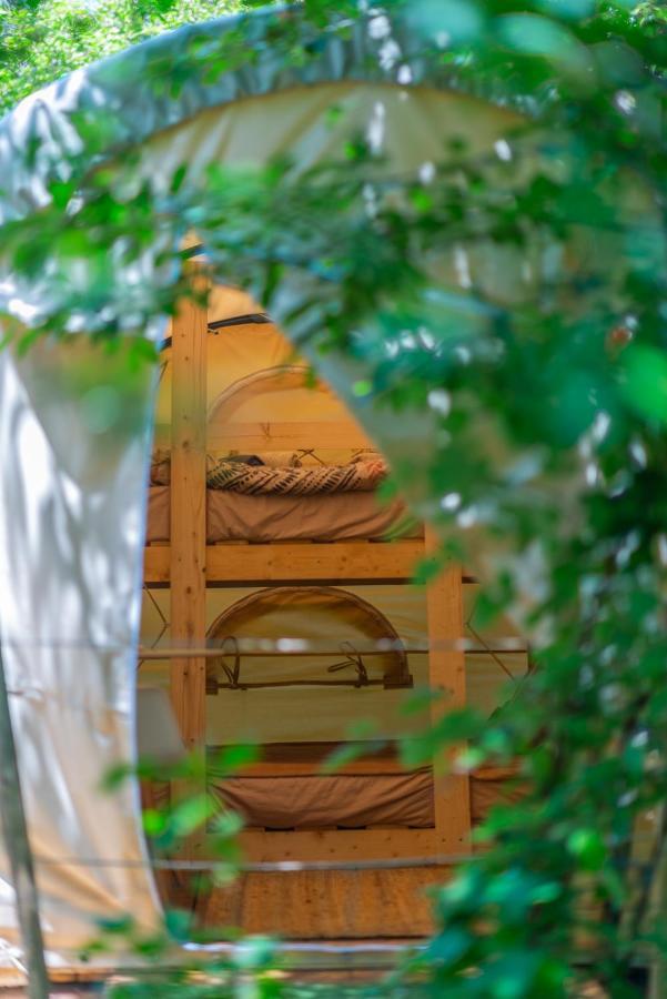Luxury tent Dragonfly Gardens Urban Glamping Brasov