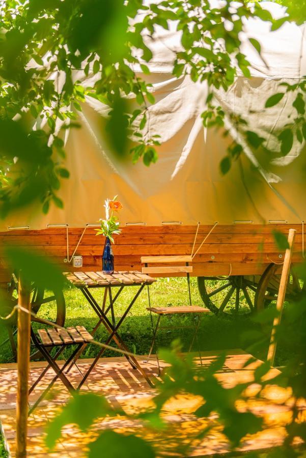 Dragonfly Gardens Urban Glamping *