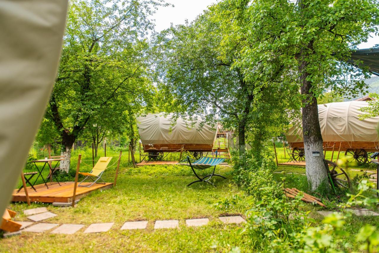 Dragonfly Gardens Urban Glamping Brasov